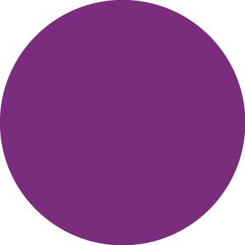 06 Purple