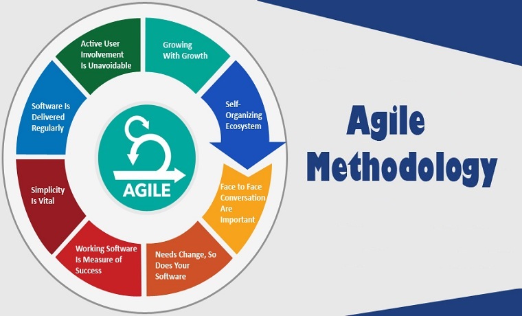 Agile methodology